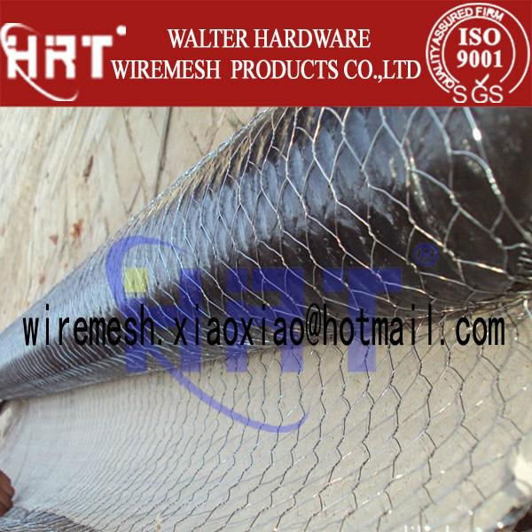 hexagonal wire mesh 5