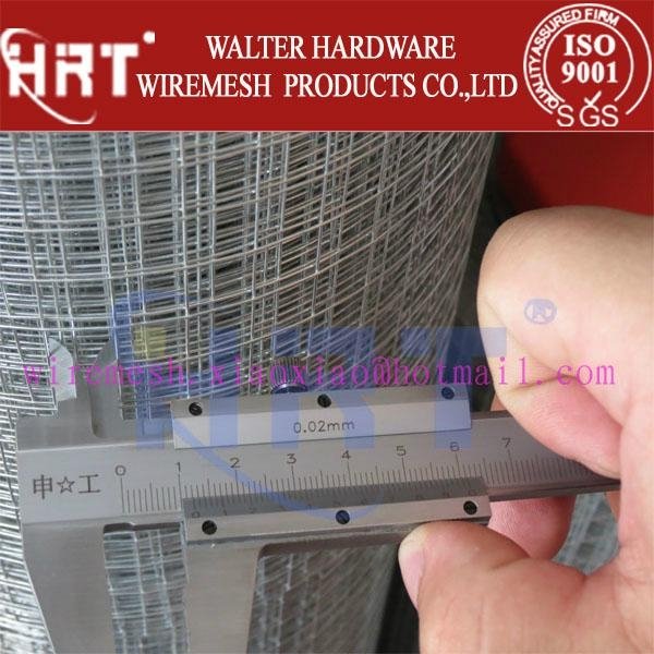 All Kinds Of Construction Welded Wire Mesh/Welded Mesh(Factory) 5