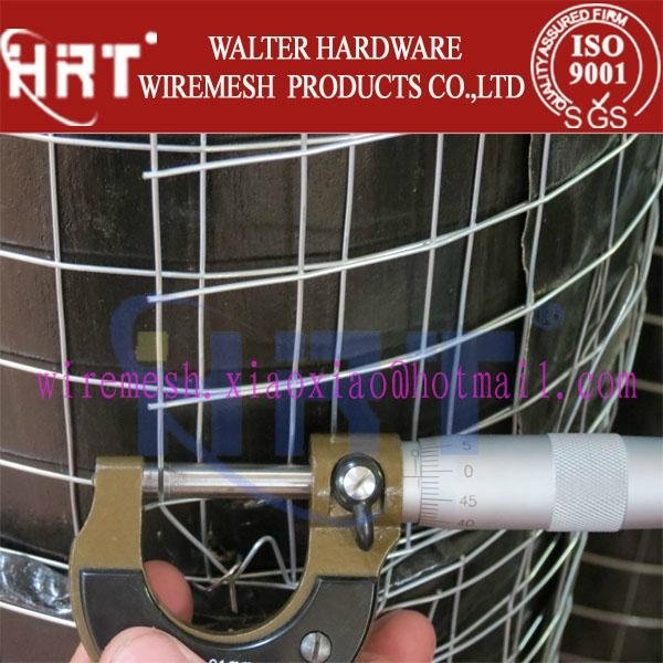 welded wire mesh(anping walter wire mesh factory) 4