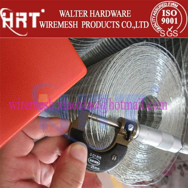 welded wire mesh(anping walter wire mesh factory) 5