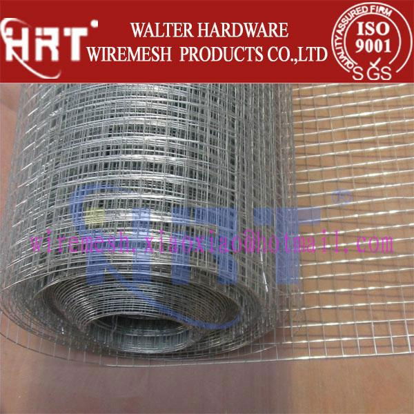 High Quality Galvanized & PVC Coated Welded Wire Mesh (factory) 4