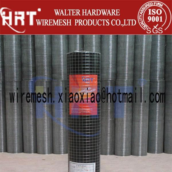 Galvanized and PVC coated welded wire mesh 5