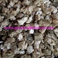 Agriculture Vermiculite 4