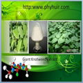 resveratrol/Polygonum cuspidatum P.E.