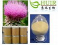 Milk Thistle P.E.