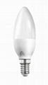 3W LED Candle Light & Bulb