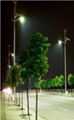 40W Wind Solar Street Light 1