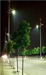 40W Wind Solar Street Light