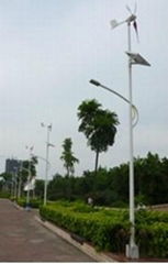 60W Wind Solar Street Light
