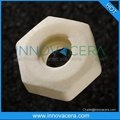 Precision Zirconia Ceramic Screw/Innovacera 2