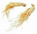 Ginseng Root Extract 80% Ginsenosides 