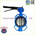 ductile iron wafer type lever butterfly valve