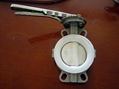 SS304 wafer type buttefly valves 4