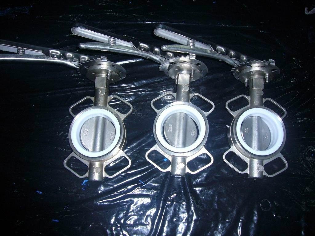 SS304 wafer type buttefly valves 5