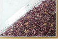 Purple Speckled Kidney Bean 1