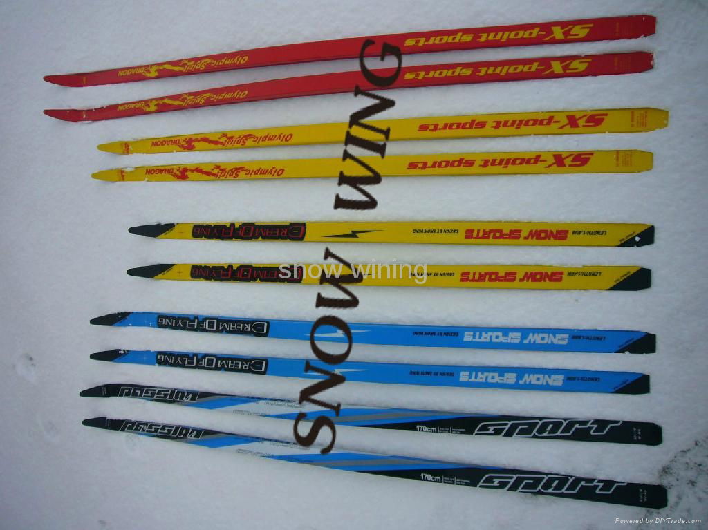 cross country skis 4