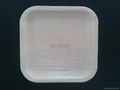 Disposable Areca Leaf Plates 1