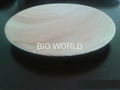 Disposable Areca Leaf Plates 3