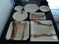 Natural Palm Leaf Areca Plates