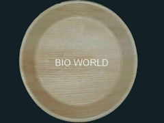 Microwave Safe Areca Leaf plates