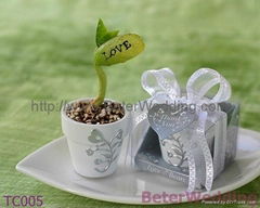 Love Message Bean Wedding Favor TC005