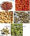 The most practical nuts color sorter 3