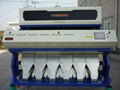 Vision Grain CCD Color Sorter 2