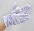 ESD Gloves 1