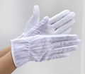 ESD Gloves 2