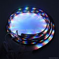 LED Strip 1