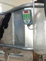 milking machine and part