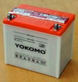 Dry Charged Battery (12N24-3, 12N24-4)