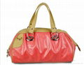 Ladies Handbag  1