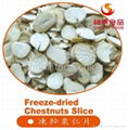 Freeze-dried Chestnuts Slice  1