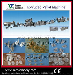 Screw/shell/chips/extruded pellet frying food process line