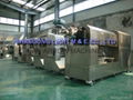 Nutrition rice /artificial rice process line 2