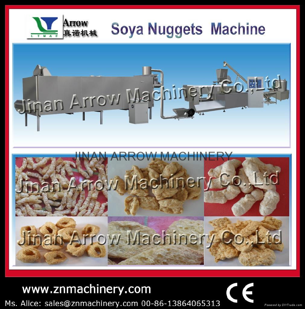 Soya N   ets Processing Line