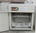 CE Approved Fully Automatic Chicken Egg Incubator On Big Sale YZITE-1 1