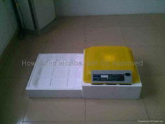 Wholesale price popular chicken mini incubators for hatching eggs YZ8-48