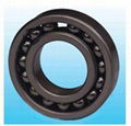 SKF 6004 bearings