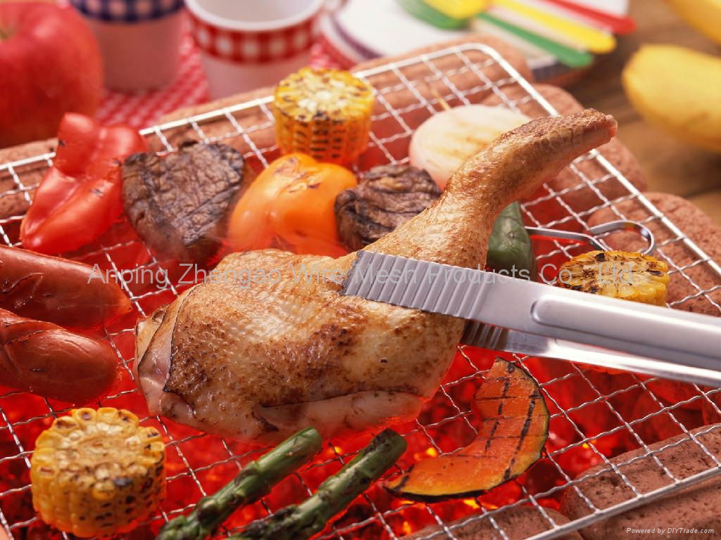 barbecue grill wire  2