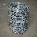 Stainless Steel Razor Wire