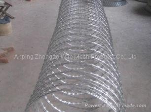 Stainless Steel Razor Wire 4
