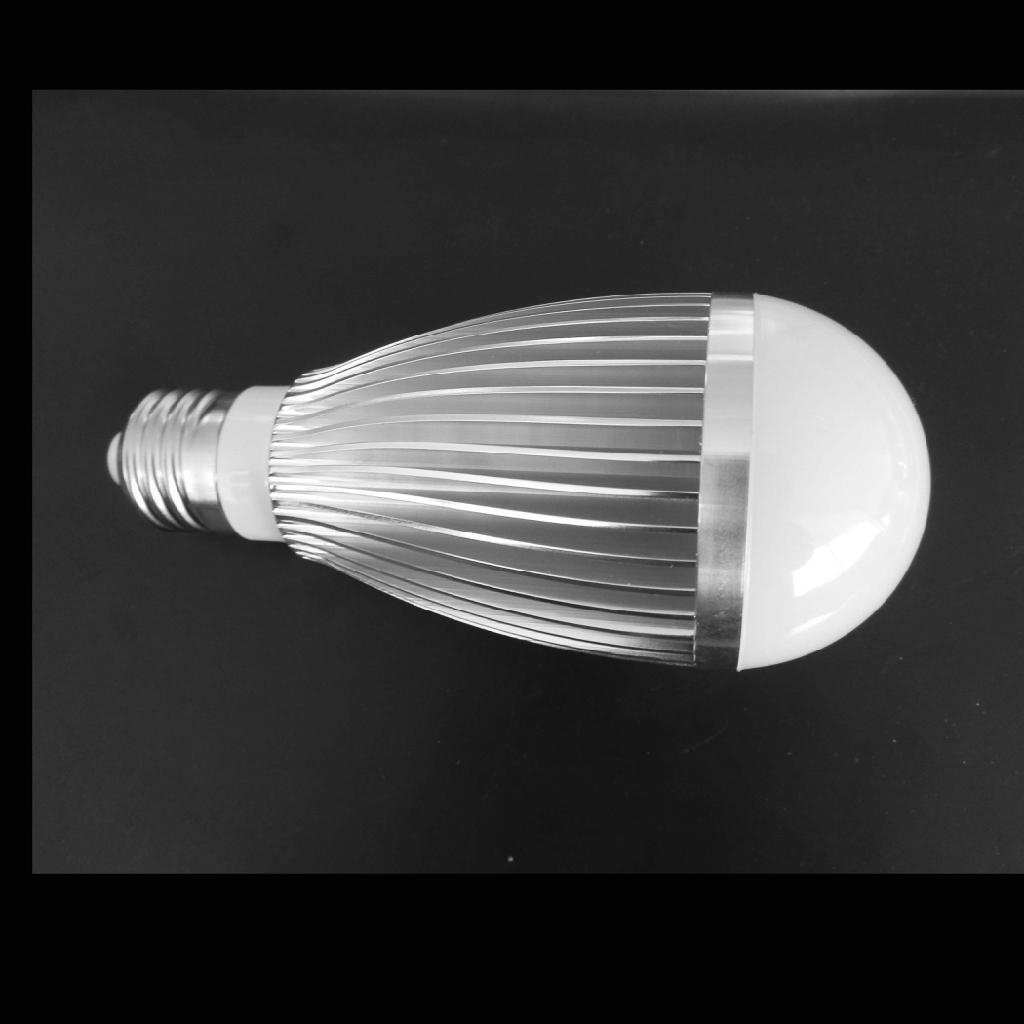 5W LED bulblight 3