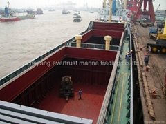 3300dwt general cargo vessel from direct owner for sale 