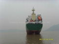 8000dwt bulk carrier from direct owner for sale  1