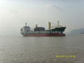 8000dwt bulk carrier from direct owner for sale  2
