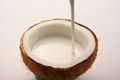 coconut milk