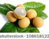 canned longan