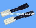 BH-B-B2D thermal protector, BH-B-B2D thermostat 2